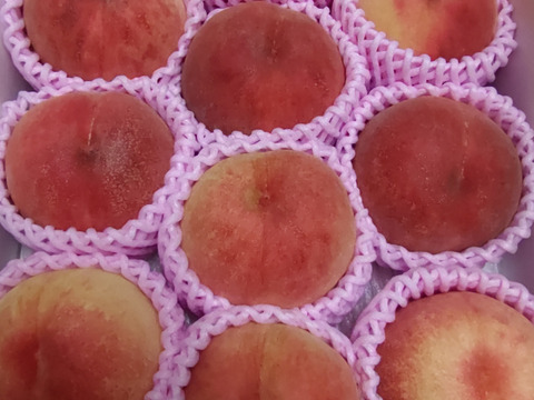 🍑あま～い桃　あかつき　約3kg　8～14玉【ASIAGAP認証農場：津軽農園】8月上旬　採れたて農家直送　夏ギフト　お中元【朝どれ】