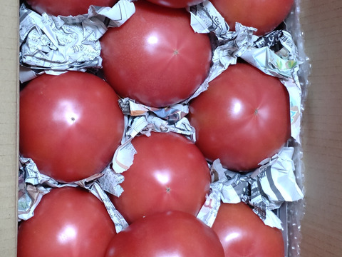 毎食トマト！バクバク食べちゃう栄ちゃんトマト　大きめ3キロ入り