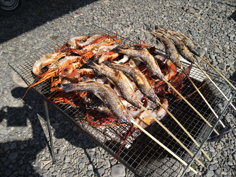 ★予約品★天然鮎20cm以上！600g 全国利き鮎会準グランプリ！海部川産 −60℃急速凍結