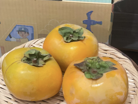 手軽に楽しむ！甘くてジューシー！まーくん家のたねなし柿5キロ箱　農家直送♪