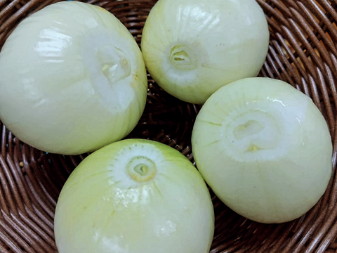 自然栽培 淡路島産 剥き玉ねぎ天日干したまねぎ白 自然栽培☆希少