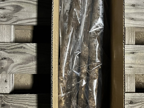 香り良し！『土付きゴボウ』北海道産
２ｋｇ