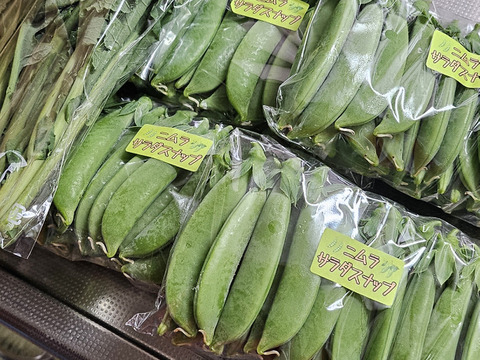 冷蔵便でお届け！ハウスで冬越ししたスナップエンドウ１kg