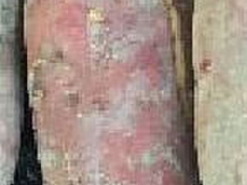 鮮やかな紫色の紫芋3kg（加工用にも最適！）兵庫県産 農薬不使用