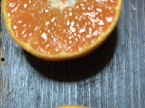 【早生アソート】見た目はあまり良くないけれど甘酸っぱい早生みかん2キロ【農薬不使用】