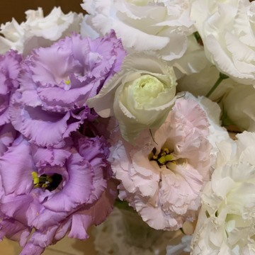 るなべるこさんがスマートフォレストさんの大輪で華やか トルコキキョウ 切り花 輪束 が 届いたよ を投稿しました 食べチョク