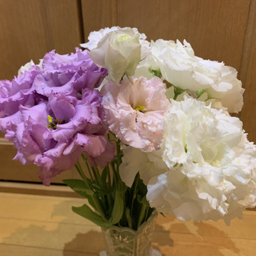 るなべるこさんがスマートフォレストさんの大輪で華やか トルコキキョウ 切り花 輪束 が 届いたよ を投稿しました 食べチョク