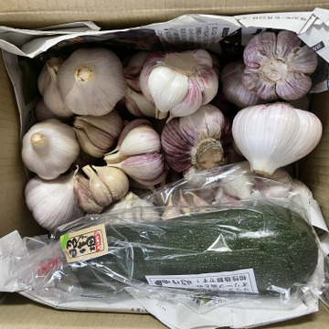 数量限定 無農薬 わけあり南国高知のにんにく2 高知県産 食べチョク 農家 漁師の産直ネット通販 旬の食材を生産者直送