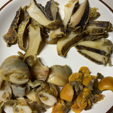 採りたて浜茹で 開けてすぐ食べられる 万能料理素材 酒のつまみに 三陸宮城産 天然アワビつぶ貝500g 冷凍 宮城県産 食べチョク 農家 漁師の産直ネット通販 旬の食材を生産者直送 採りたて浜茹で 開けてすぐ食べられる 万能料理素材 酒のつまみに 三陸宮城産 天然アワビつぶ貝500g 冷凍 宮城県産 食べチョク 農家 漁師の産直ネット通販 旬の食材を生産者直送