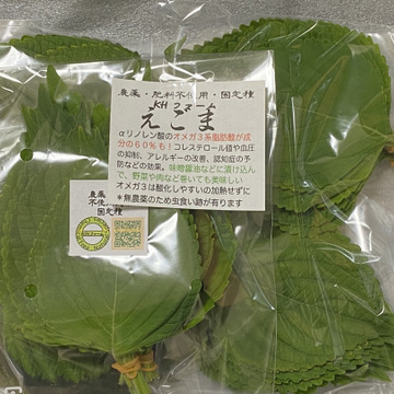 エゴマの葉 100枚 抗酸化作用でアンチエイジング 神奈川県産 食べチョク 農家 漁師の産直ネット通販 旬の食材を生産者直送