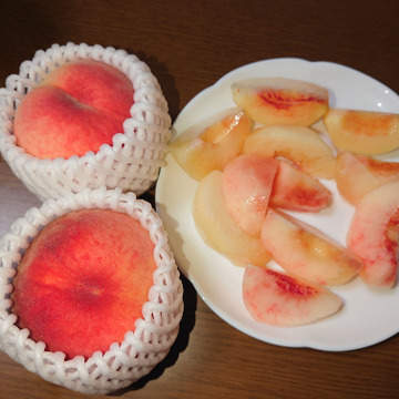 桃あかつき樹上完熟 もぎたて直送 2kg箱 山形県産 食べチョク 農家 漁師の産直ネット通販 旬の食材を生産者直送