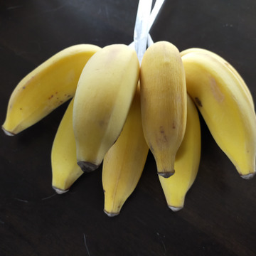 食べチョク