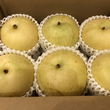 鳥取県産 なつひめ 梨 約3kg 鳥取県産 食べチョク 農家 漁師の産直ネット通販 旬の食材を生産者直送