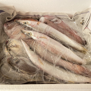 あるきおたまさんが金栄丸さんの季節の詰め合わせ3～4魚種①の「作っ 
