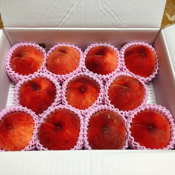 お中元に 贈ろう福島の桃 ３kg 福島県産 食べチョク 農家 漁師の産直ネット通販 旬の食材を生産者直送