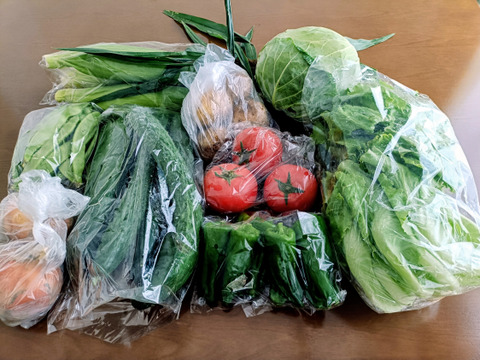 寒暖差が美味しさの秘訣！高原野菜セット【M: 2〜3人用】