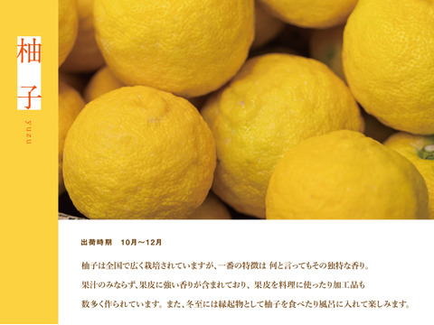 【数量限定】これからの季節の風味には柚子・ユズ（約5kg 25～40個）