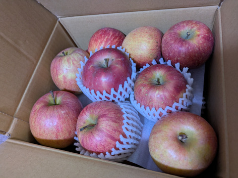 信州りんご🍎４キロパック詰め