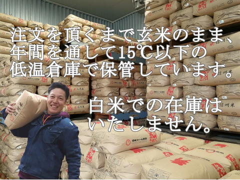 令和5年産【 白米10kg】 信州産 特別栽培米『縁結び』大粒の品種です！《受注精米》（5kg ×2袋）
