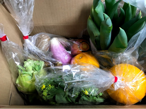 無農薬栽培だからこの甘さ!免疫力アップに抗酸化野菜セット(1箱)