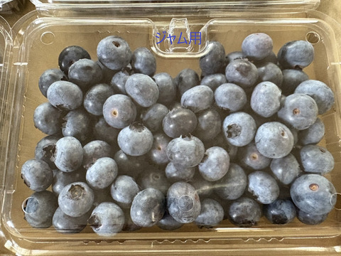 【冷蔵】ジャム用「高滝湖ブルーベリー」（露地栽培）１Kg（ハイブッシュ）