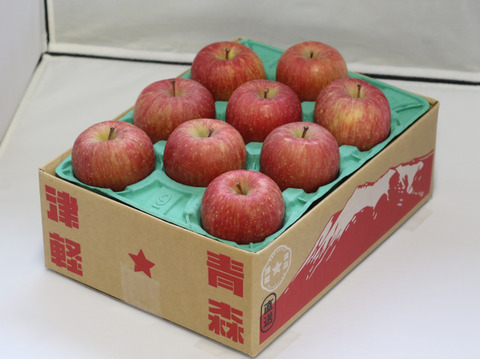【10月下旬ころ収穫】ジョナゴールド もぎたてはひと味違う！ 家庭用 2.5kg (6〜13個)