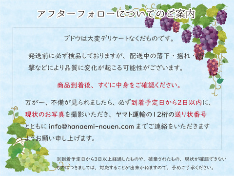 花笑み農園　岡山の瀬戸ジャイアンツ２kg（３～５房）【9/27～順次発送】G-2家