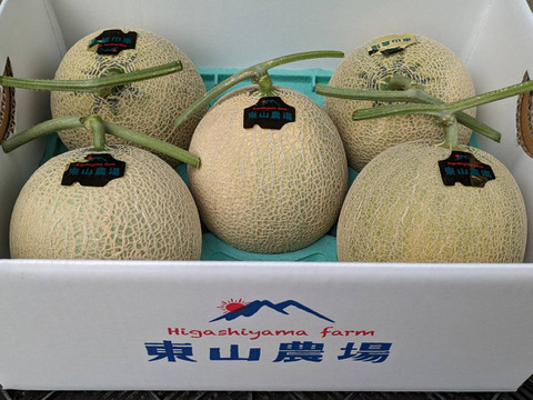 たっぷり8kg！北海道夕張郡産キングメロン：北海道産のその他