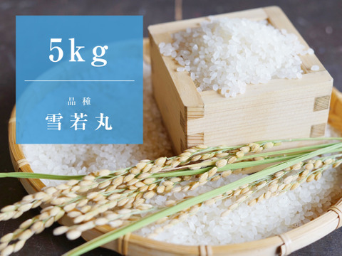 【雪若丸5kg/特別栽培米】心を込めて作りました♪山形県産雪若丸（精米5kg）