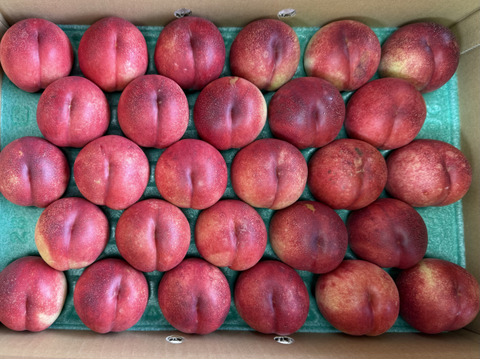先行予約❗️ネクもも🍑ハネージュ🍑5キロ箱 16玉〜20玉　秀品
