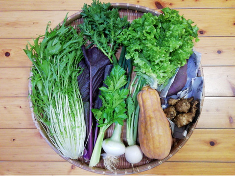 農薬 化学肥料不使用 野菜セット １０種類前後の野菜 ８０サイズ箱 愛媛県産 食べチョク 農家 漁師の産直ネット通販 旬の食材を生産者直送