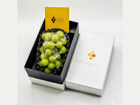 千房に一房の出会い【ラグジュアリーギフト】シャインマスカット約700g（1房）長野県認証/特別栽培同基準（信州の環境にやさしい農産物認証50）【2026年秋】