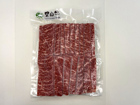 ＼祝・発売記念／【30％OFF】［～5/3まで］希少！焼肉新商品３種食べ比べセット（600g）（イチボ・ランプ・トウガラシ）