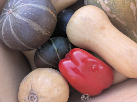 ❄☃️７品冬の野菜セット☃️❄