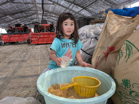 【令和7年新米】森のくまさん（玄米10kg）節減対象農薬 ：栽培期間中不使用