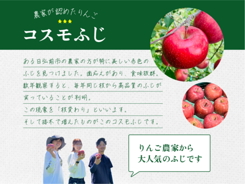 【究極のサンふじ】コスモふじ 3キロ箱 商品ID52651 長野県 信州 安曇野 リンゴ 幻 幻のリンゴ 予約 希少 旬 甘い ふじ サンふじ 6玉〜15玉サイズ