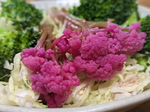 ❄️☃️冬の野菜セット☃️❄️