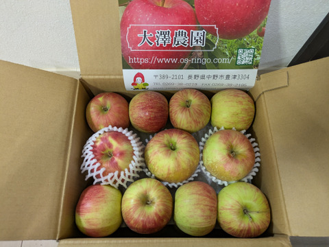 信州りんご🍎小玉４キロパック詰め