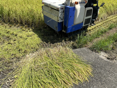 減農薬米  令和３年新米　三重県産 コシヒカリ　玄米２０キロ  10kg×2袋② 🌟令和7年新米❣高知産コシヒカリ🌾玄米30kg✨ 節減対象農薬