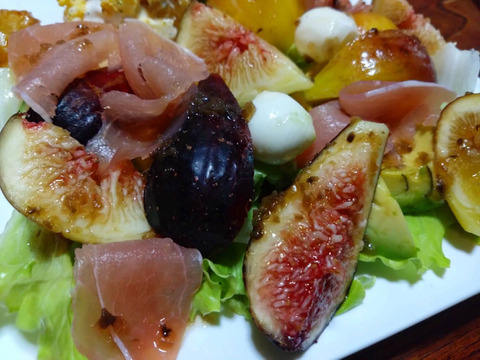 希少いちじく2種セット【農薬・除草剤・化学肥料不使用】和歌山県産