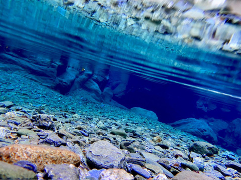 【氷温貯蔵】奥四万十完熟熟成梨２ｋｇ（３～５玉）ご家庭用 農薬不使用 自然栽培 四万十産