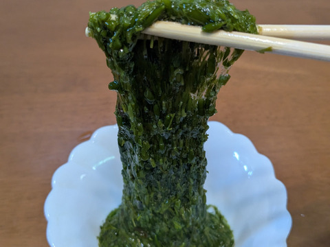 【採れたて！天然！】無加工 アカモク(生) 1kg