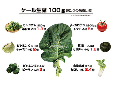 【有機JASオーガニックケール】野菜の頂点に君臨する"幻のエンペラーケール"健康長寿の救世主【3kg】