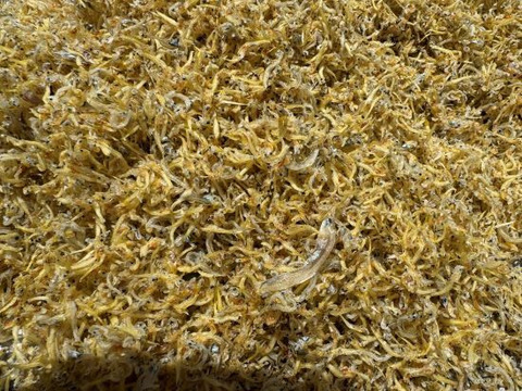 食べ応え抜群！ ちりめん　大　1kg お徳用　と　ちりめんモンスター４００ｇ×３