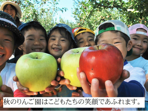 牛乳で割っても美味しい！！樹上完熟サンふじのリンゴジュース2本入り。まぼろしのりんごと呼ばれる栃木県矢板市から!
