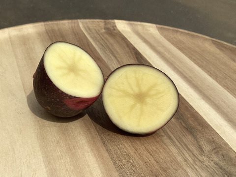 ノウフク　カラフルじゃがいもミックス 1kg　【栽培期間中農薬化学肥料不使用】