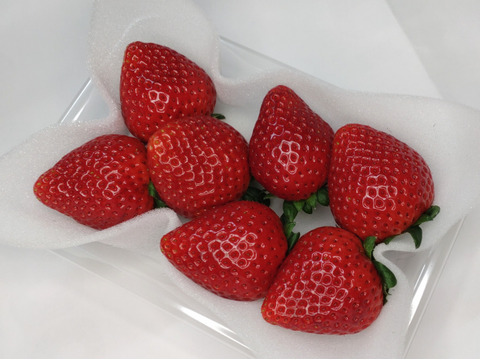 ちょっとお得　日にち指定なしで頼む「とちあいか」(特大)200〜230g(4〜7粒)×4p