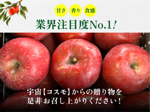 【究極のサンふじ】コスモふじ 3キロ箱 商品ID52651 長野県 信州 安曇野 リンゴ 幻 幻のリンゴ 予約 希少 旬 甘い ふじ サンふじ 6玉〜15玉サイズ