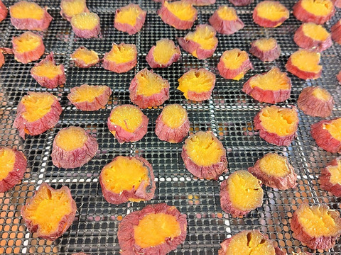 【試作品】ひとくち干し芋90g×3袋（規格外品、大分県産、栽培期間中農薬・肥料不使用、メール便発送）