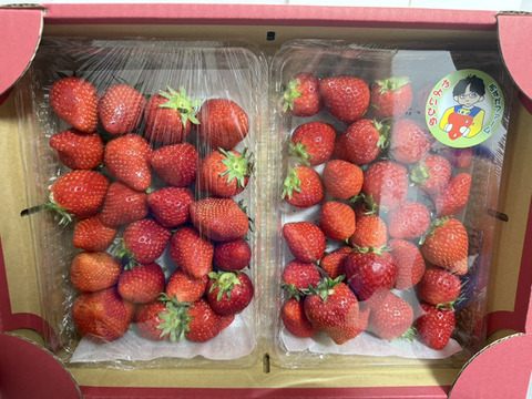 【2年連続品評会入賞やよいひめ】こだわりの栽培で味が濃すぎるいちご2kg【12月先行予約】【お年賀、お正月】